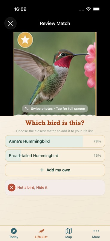 Feather Trove review screen showing possible species matches